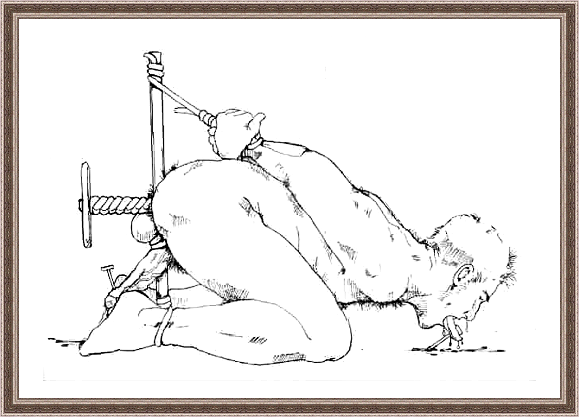 free sites to contact shemales gay impalement